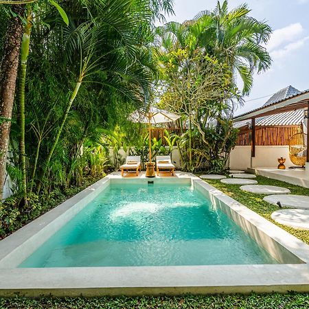 Berapi Villa By Evdekimi Ubud Eksteriør billede